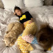 20230130232151_8O5ygsUEP7.png