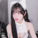 트위치 쵸단 동물귀 가슴골