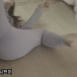 AC_[20221128-034340].gif