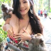 원숭이한테 당하는 대만녀