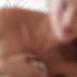 f407f0c4aabf4da13f534035370beab0_1681257441_1447.gif