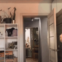 ff3199ec74127d17175c365633117480_1687365993_2255.gif
