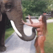 7ce0182b25fe52401faa812fbe896354_1688410583_2997.gif