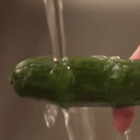 b66654032a8da05a4341d8940c89d9de_1695097767_5655.gif