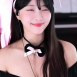 닉값중인 고양이 미모좌